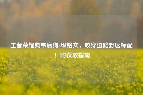 王者荣耀典韦疯狗5级铭文,咬穿边路野区标配!附获取指南