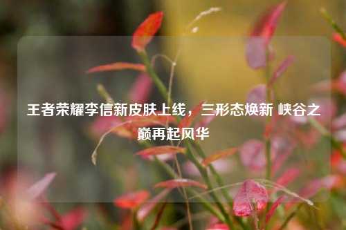 王者荣耀李信新皮肤上线,三形态焕新 峡谷之巅再起风华