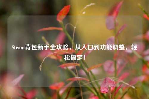 Steam背包新手全攻略,从入口到功能调整,轻松搞定!