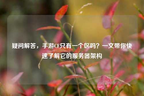 疑问解答,手游CF只有一个区吗?一文带你快速了解它的服务器架构