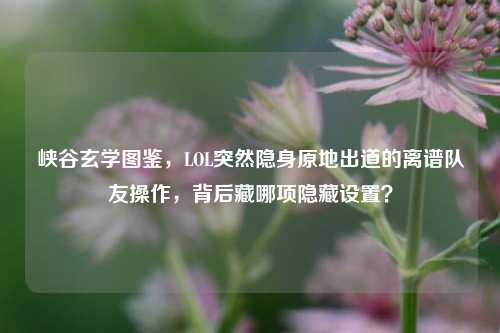 峡谷玄学图鉴,LOL突然隐身原地出道的离谱队友操作,背后藏哪项隐藏设置?