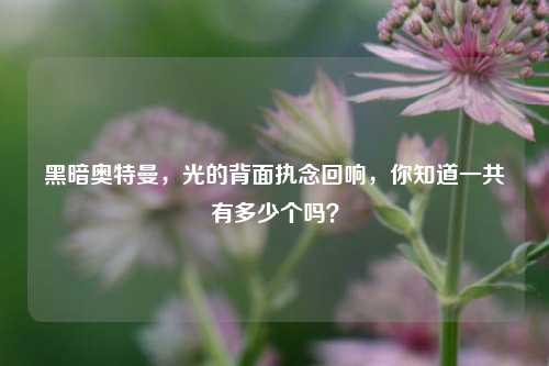 黑暗奥特曼,光的背面执念回响,你知道一共有多少个吗?