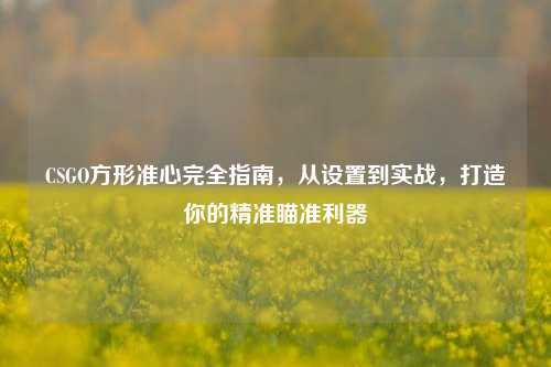 CSGO方形准心完全指南，从设置到实战，打造你的精准瞄准利器
