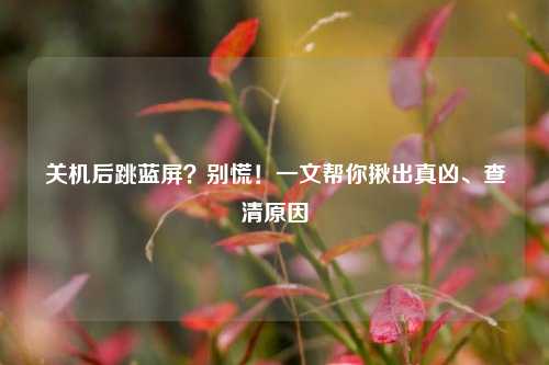 关机后跳蓝屏?别慌!一文帮你揪出真凶、查清原因