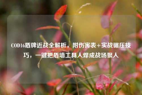 COD16盾牌近战全解析,附伤害表+实战碾压技巧,一键把盾墙工具人焊成战场狠人