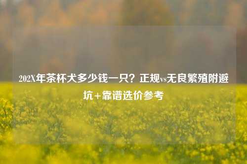 202X年茶杯犬多少钱一只?正规vs无良繁殖附避坑+靠谱选价参考