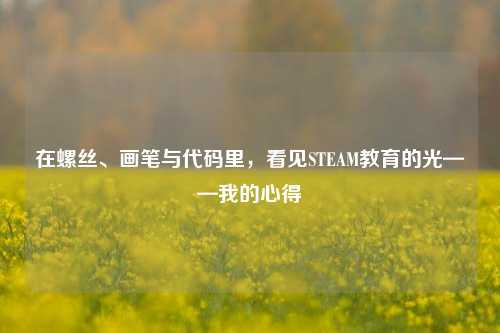 在螺丝、画笔与代码里,看见STEAM教育的光——我的心得