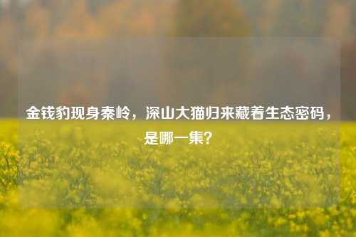 金钱豹现身秦岭,深山大猫归来藏着生态密码,是哪一集?
