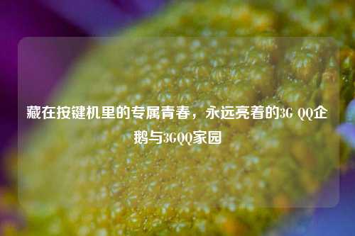 藏在按键机里的专属青春,永远亮着的3G QQ企鹅与3GQQ家园