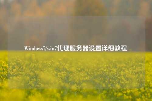 Windows7/win7代理服务器设置详细教程