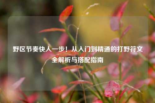野区节奏快人一步!从入门到精通的打野符文全解析与搭配指南
