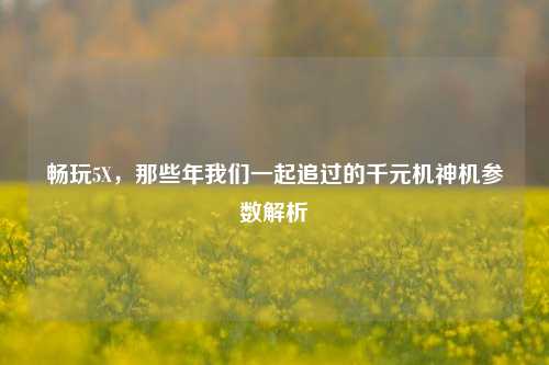 畅玩5X，那些年我们一起追过的千元机神机参数解析