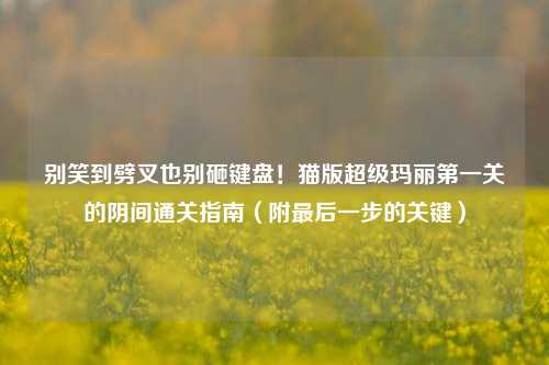 别笑到劈叉也别砸键盘!猫版超级玛丽第一关的阴间通关指南(附最后一步的关键)