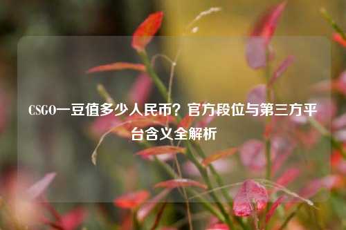 CSGO一豆值多少人民币?官方段位与第三方平台含义全解析