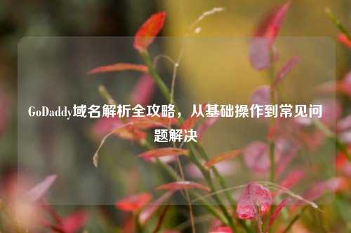 GoDaddy域名解析全攻略,从基础操作到常见问题解决
