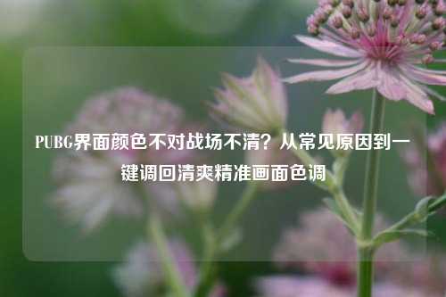 PUBG界面颜色不对战场不清?从常见原因到一键调回清爽精准画面色调