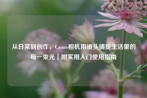 从日常到创作,Canon相机用镜头捕捉生活里的每一束光|附实用入门使用指南
