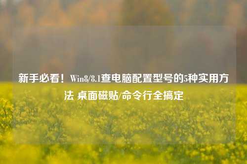 新手必看!Win8/8.1查电脑配置型号的5种实用方法 桌面磁贴/命令行全搞定