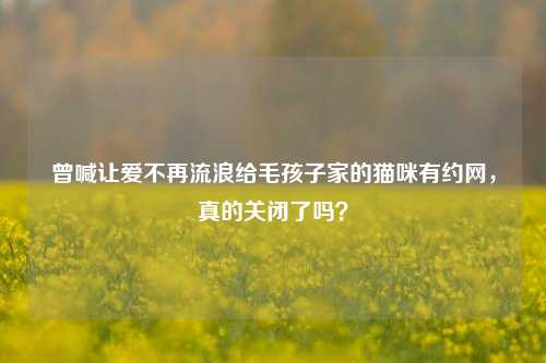 曾喊让爱不再流浪给毛孩子家的猫咪有约网,真的关闭了吗?
