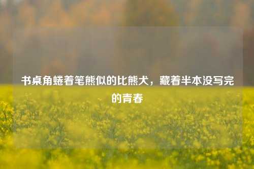 书桌角蜷着笔熊似的比熊犬，藏着半本没写完的青春