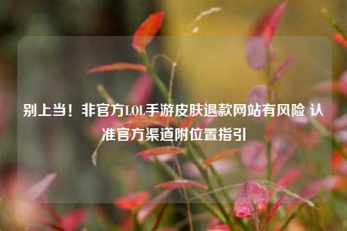别上当!非官方LOL手游皮肤退款网站有风险 认准官方渠道附位置指引
