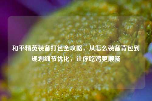 和平精英装备打包全攻略,从怎么装备背包到规划细节优化,让你吃鸡更顺畅