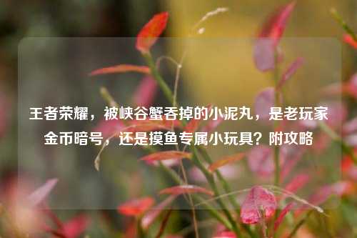 王者荣耀,被峡谷蟹吞掉的小泥丸,是老玩家金币暗号,还是摸鱼专属小玩具?附攻略