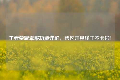 王者荣耀牵服功能详解,跨区开黑终于不卡啦!