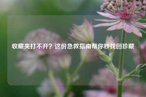 收藏夹打不开?这份急救指南帮你秒找回珍藏