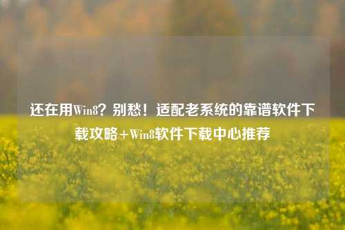 还在用Win8?别愁!适配老系统的靠谱软件下载攻略+Win8软件下载中心推荐