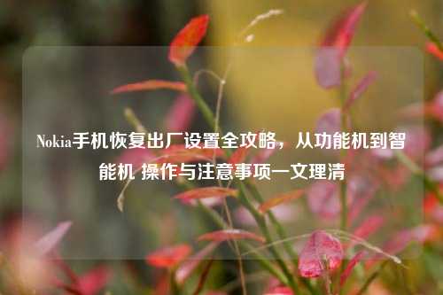 Nokia手机恢复出厂设置全攻略,从功能机到智能机 操作与注意事项一文理清