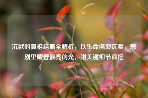 沉默的真相结局全解析,以生命撕裂沉默,悲剧里藏着最亮的光,附关键细节深挖