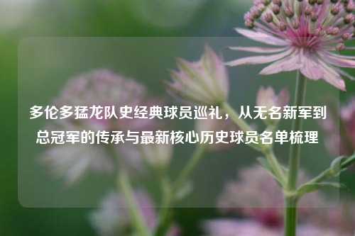 多伦多猛龙队史经典球员巡礼,从无名新军到总冠军的传承与最新核心历史球员名单梳理