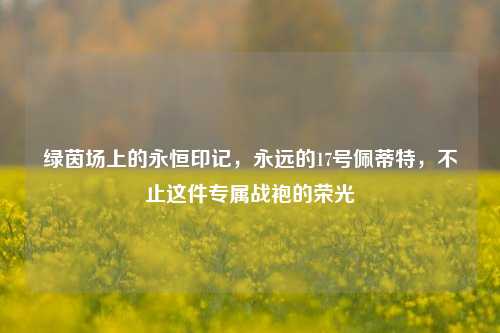 绿茵场上的永恒印记,永远的17号佩蒂特,不止这件专属战袍的荣光
