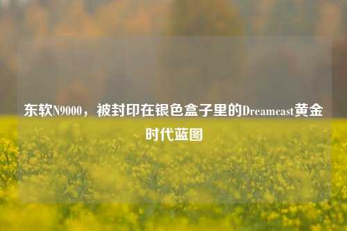 东软N9000,被封印在银色盒子里的Dreamcast黄金时代蓝图