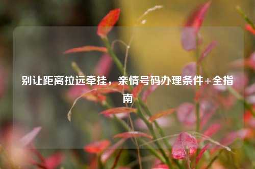 别让距离拉远牵挂,亲情号码办理条件+全指南