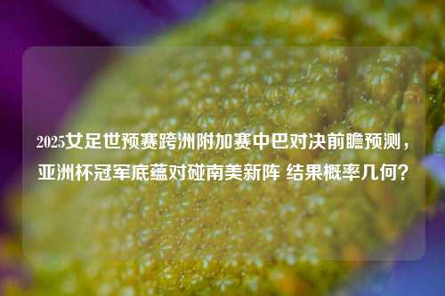 2025女足世预赛跨洲附加赛中巴对决前瞻预测,亚洲杯冠军底蕴对碰南美新阵 结果概率几何?