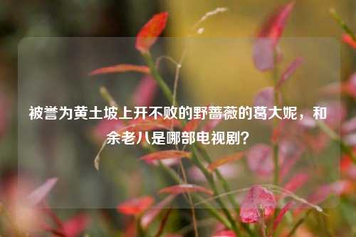 被誉为黄土坡上开不败的野蔷薇的葛大妮,和余老八是哪部电视剧?