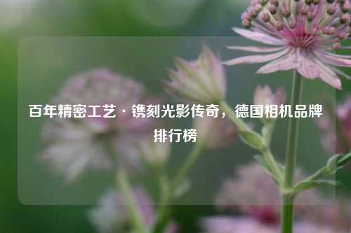 百年精密工艺·镌刻光影传奇,德国相机品牌排行榜