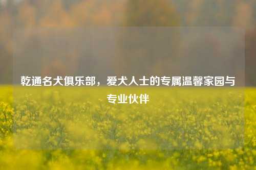 乾通名犬俱乐部,爱犬人士的专属温馨家园与专业伙伴