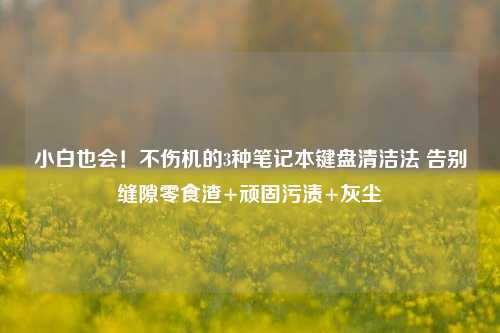 小白也会!不伤机的3种笔记本键盘清洁法 告别缝隙零食渣+顽固污渍+灰尘