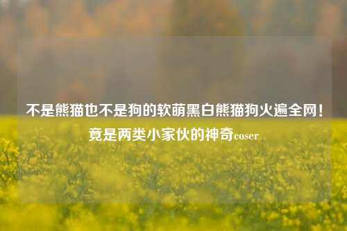 不是熊猫也不是狗的软萌黑白熊猫狗火遍全网!竟是两类小家伙的神奇coser