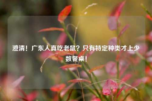 澄清!广东人真吃老鼠?只有特定种类才上少数餐桌!