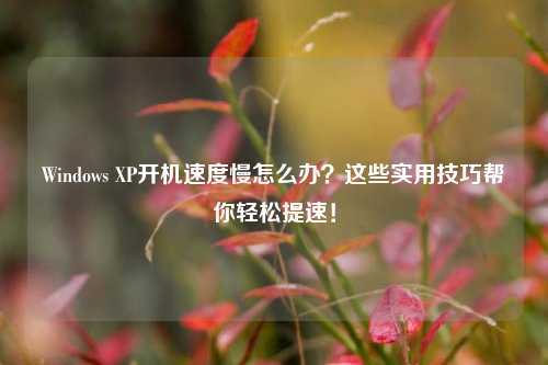 Windows XP开机速度慢怎么办?这些实用技巧帮你轻松提速!