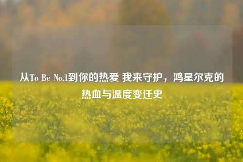 从To Be No.1到你的热爱 我来守护,鸿星尔克的热血与温度变迁史