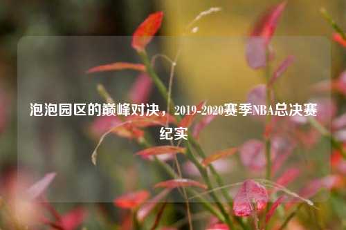 泡泡园区的巅峰对决,2019-2020赛季NBA总决赛纪实