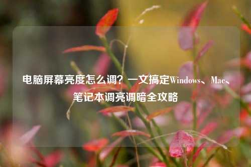 电脑屏幕亮度怎么调?一文搞定Windows、Mac、笔记本调亮调暗全攻略