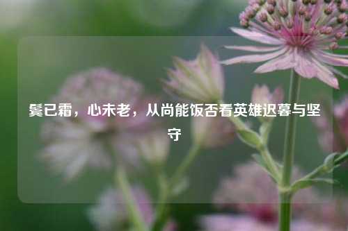 鬓已霜,心未老,从尚能饭否看英雄迟暮与坚守