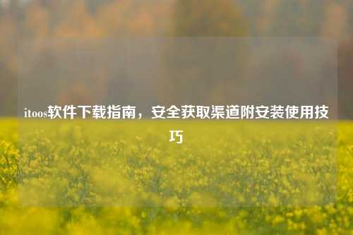 itoos软件下载指南,安全获取渠道附安装使用技巧