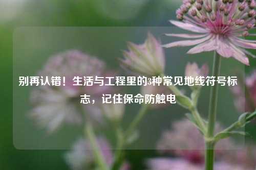 别再认错!生活与工程里的3种常见地线符号标志,记住保命防触电